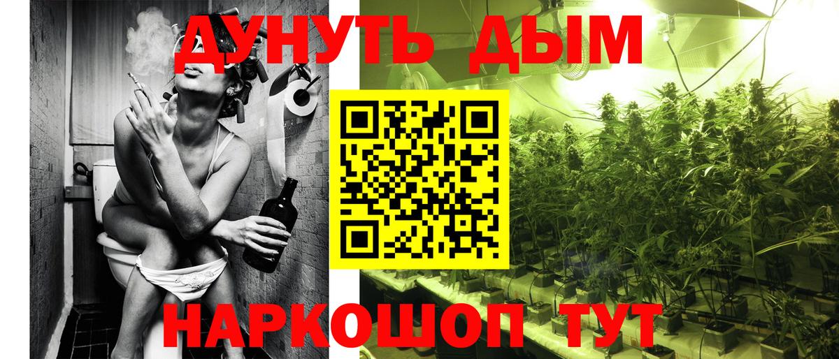 Шишки марихуана тримм  Вход с VPN  Сосновоборск  Бошки марихуана планчик  Каннабис SATIVA & INDICA 